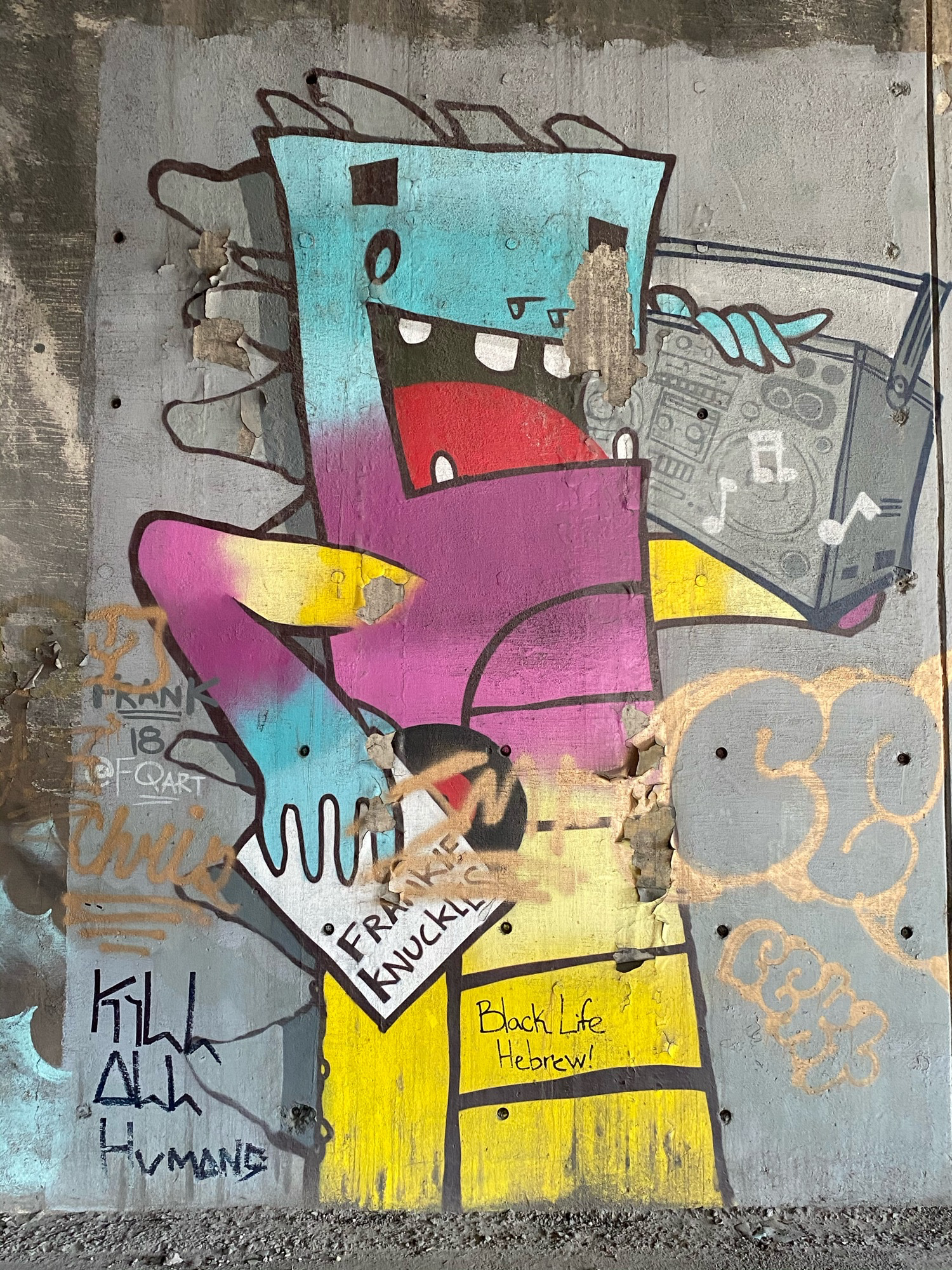 mural in Chicago by artist FQart.