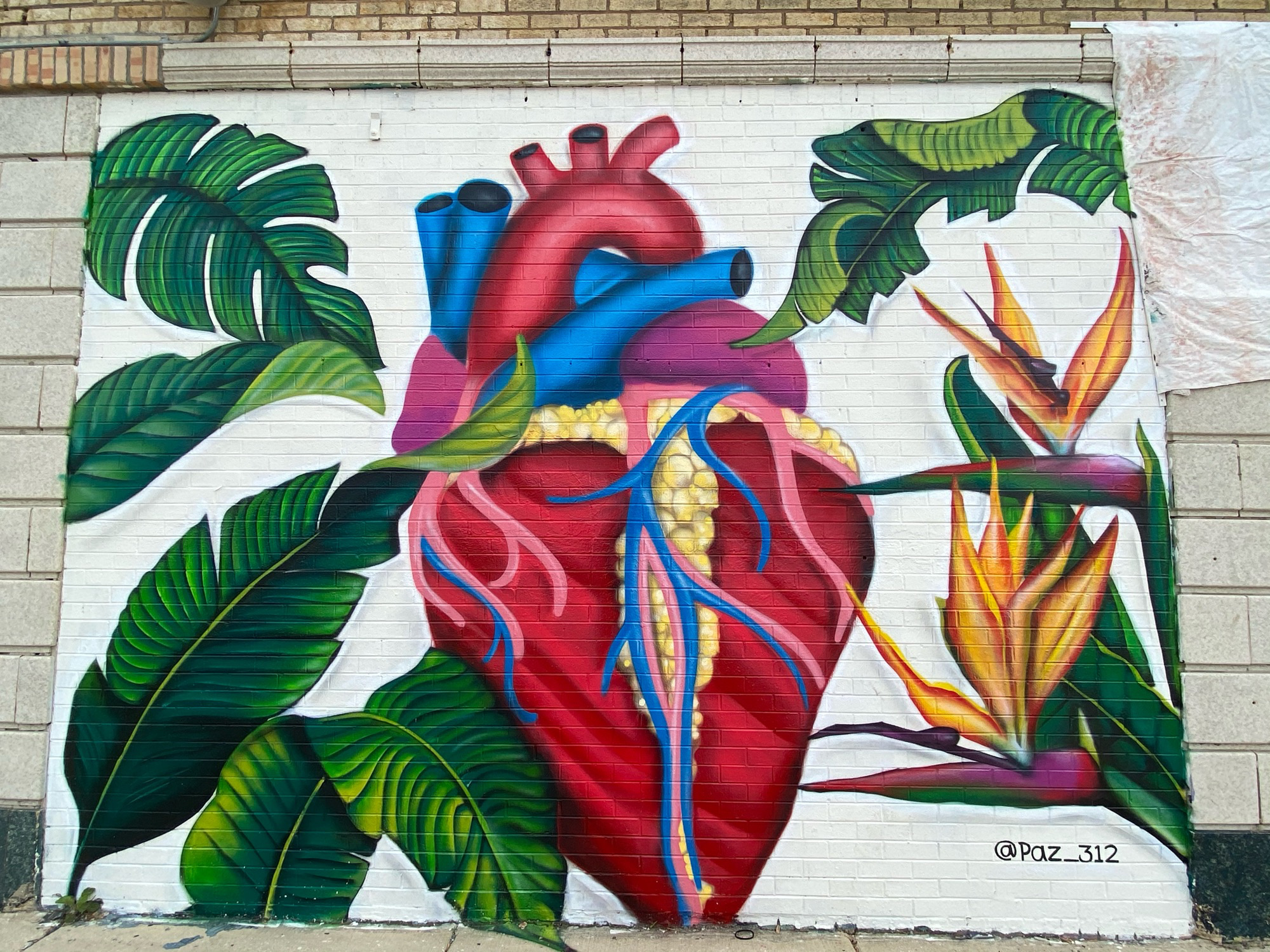 mural in Chicago by artist Christian Paz.