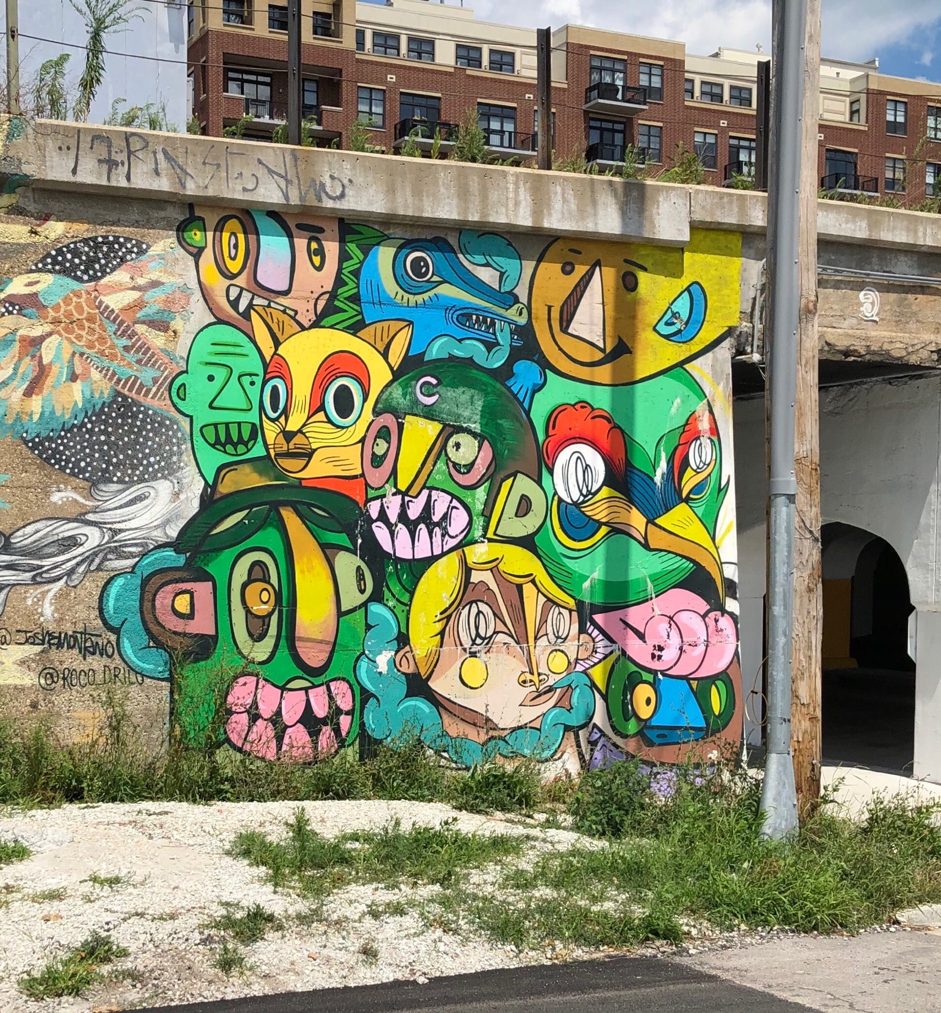 mural in Chicago by artist Rodrigo Oñate Roco.