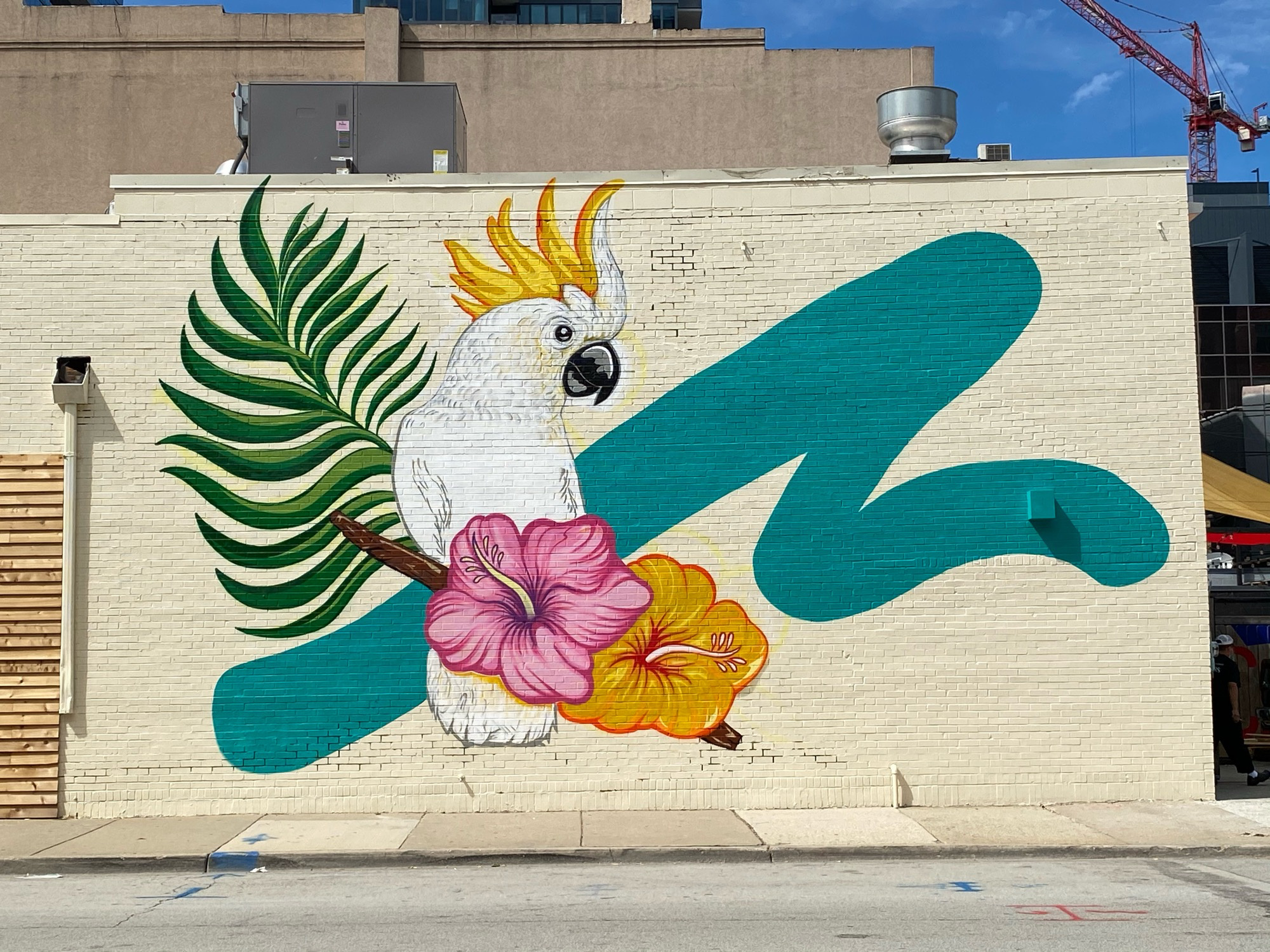 mural in Chicago by artist The Bear Champ.