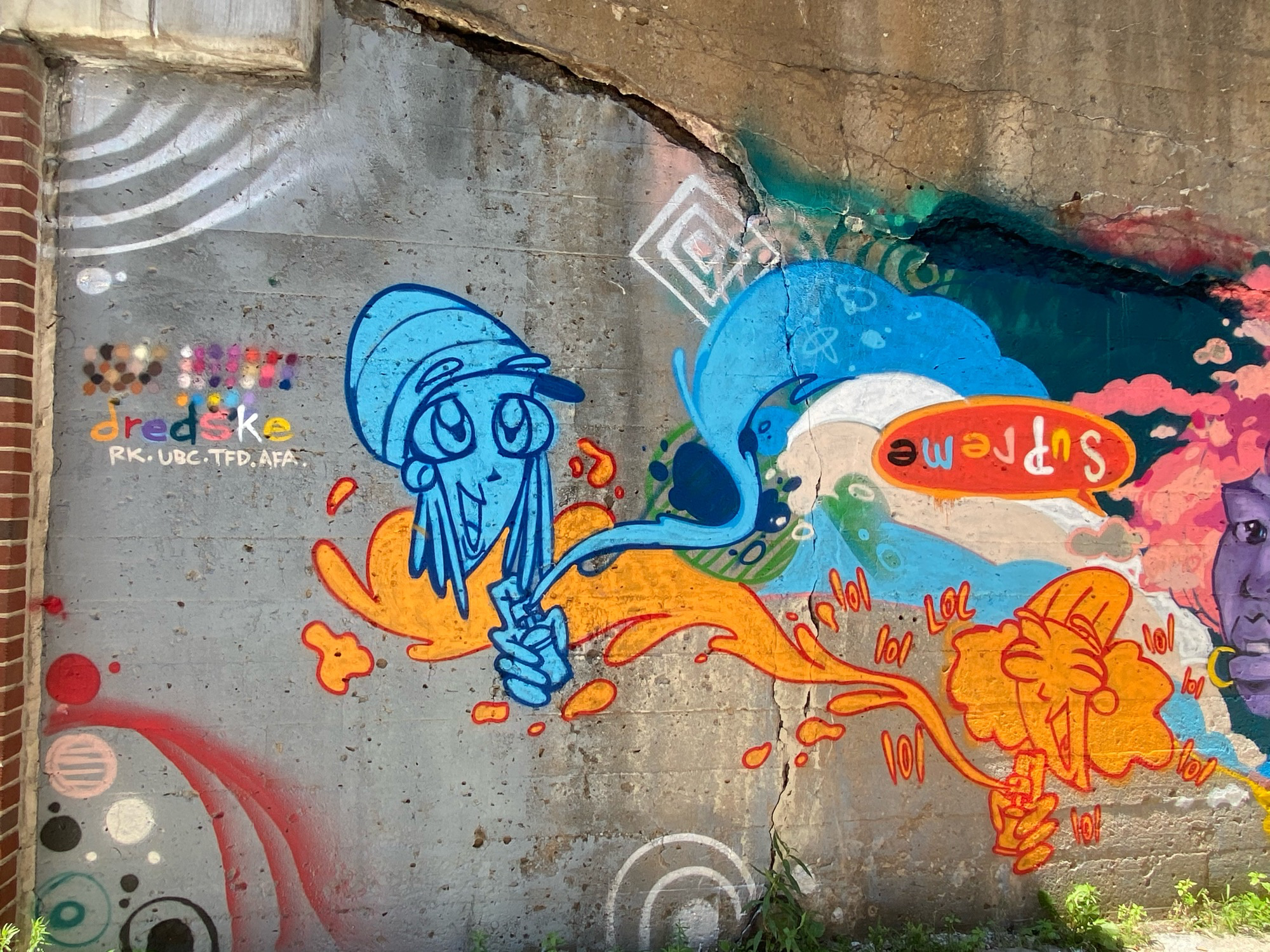 mural in Chicago by artist Dredske.