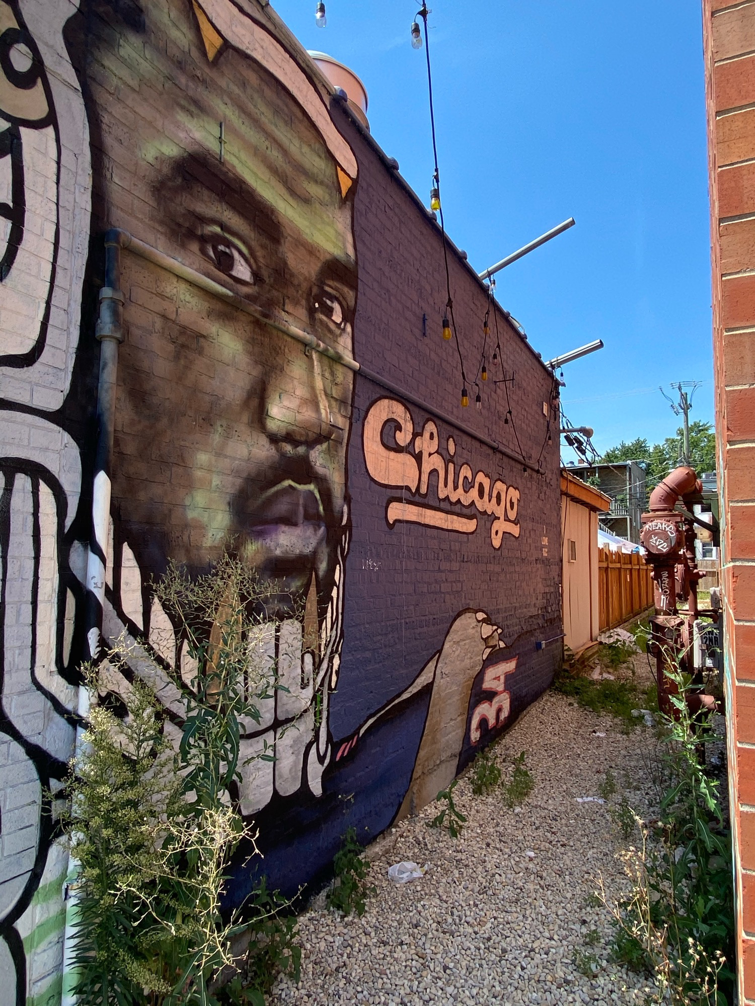 mural in Chicago by artist unknown.