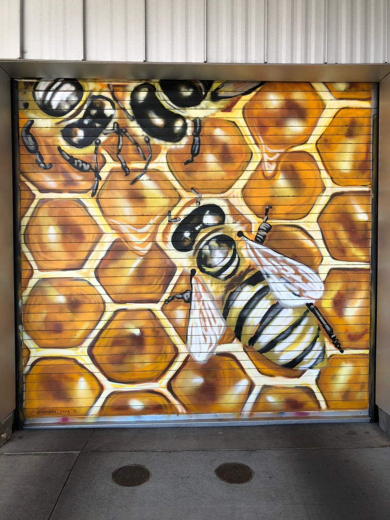 mural in Denver by artist Alexandrea Pangburn.