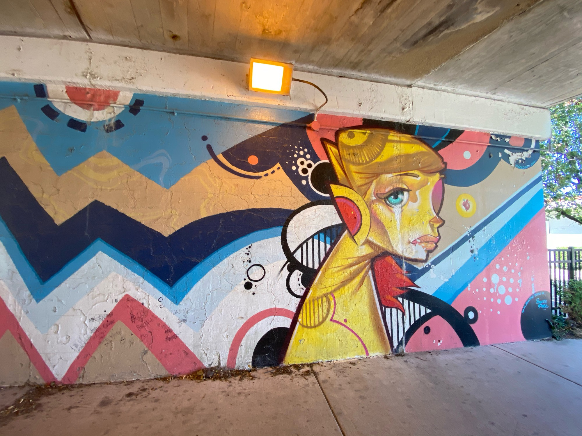 mural in Chicago by artist Solo.