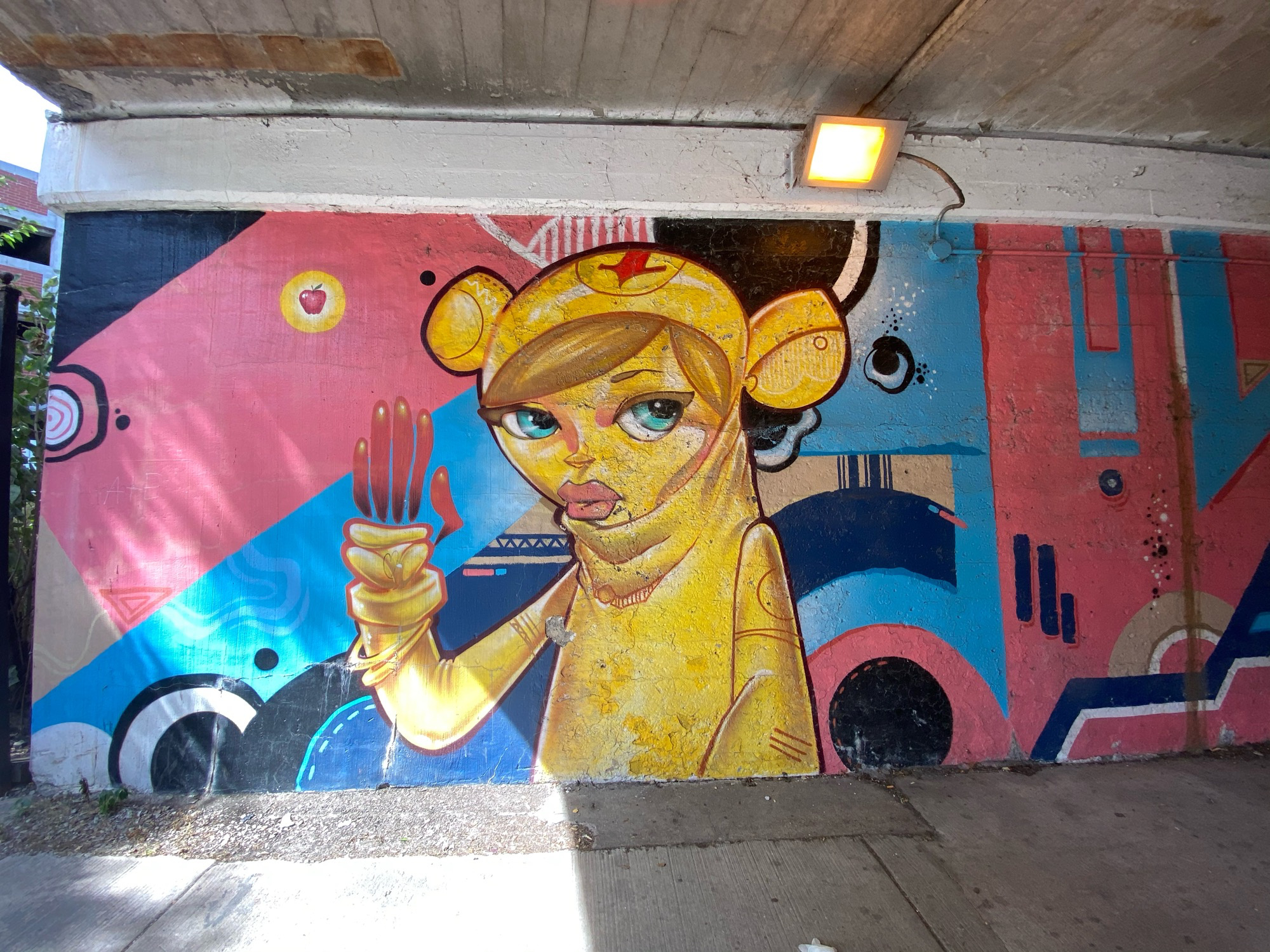 mural in Chicago by artist Solo.