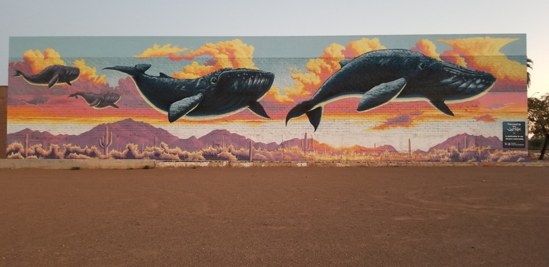 mural in Tucson by artist unknown.