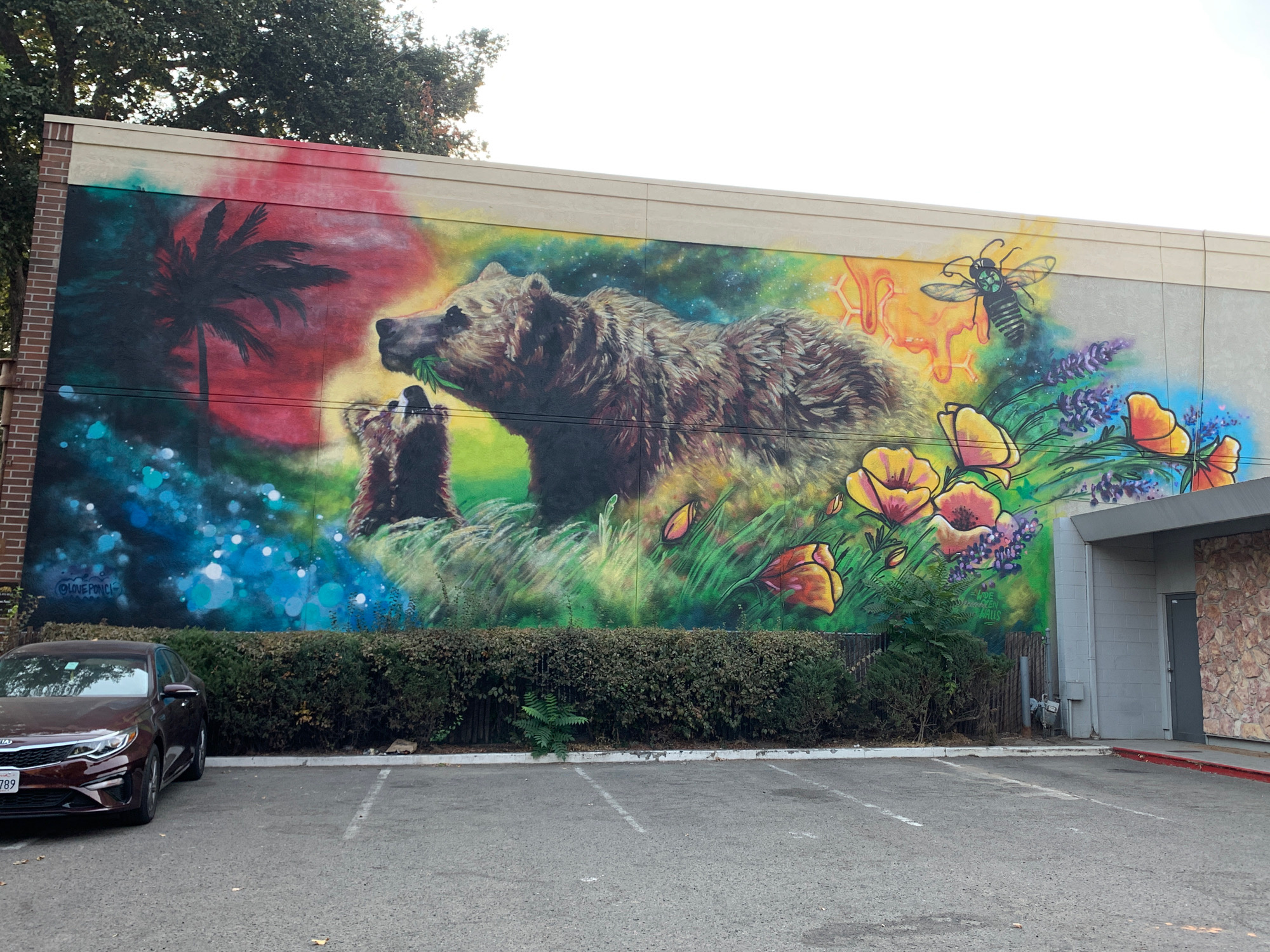 mural in Sacramento by artist Jenn Ponci. Tagged: animals