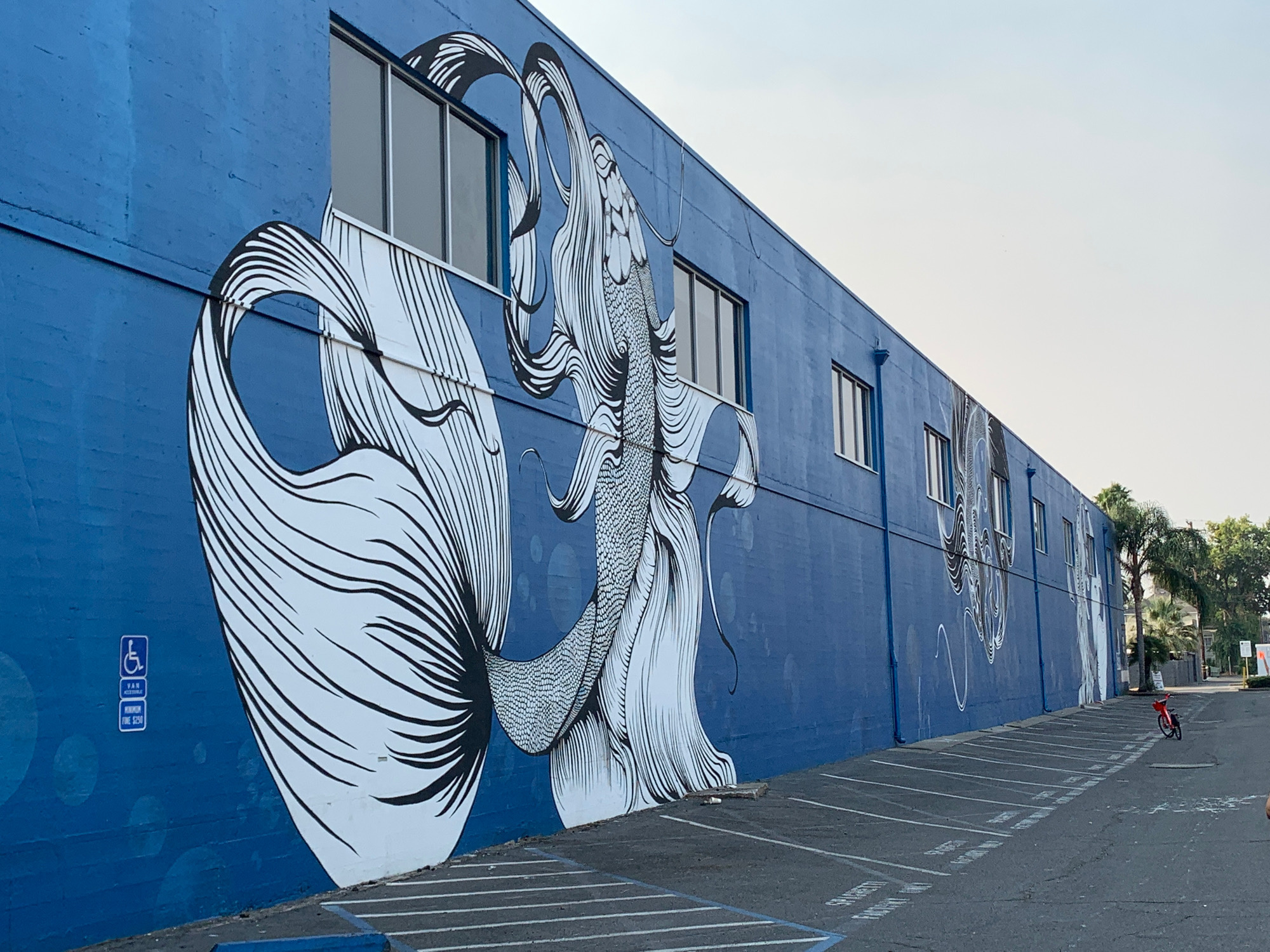 mural in Sacramento by artist Maren Conrad.