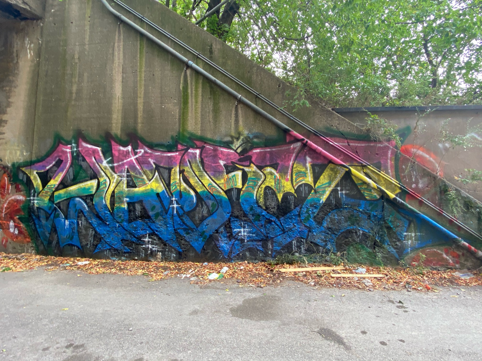 mural in Chicago by artist unknown.