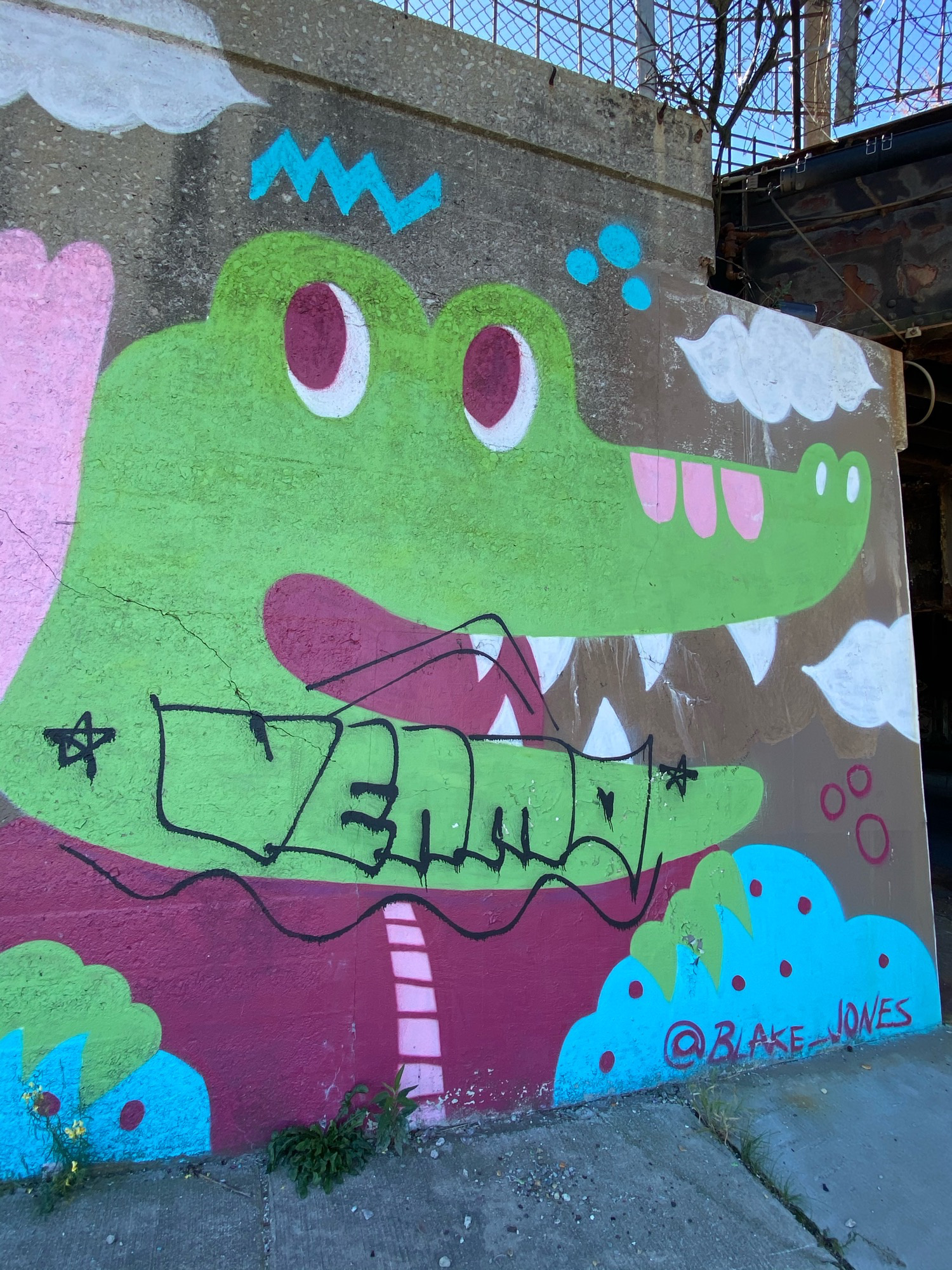 mural in Chicago by artist Blake Jones.