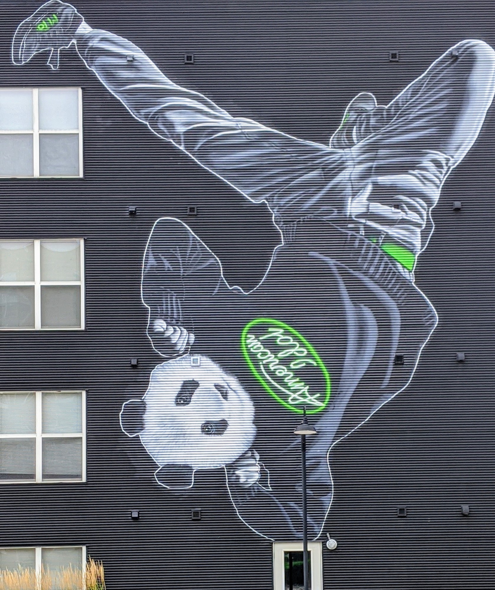 mural in Milwaukee by artist MTO.