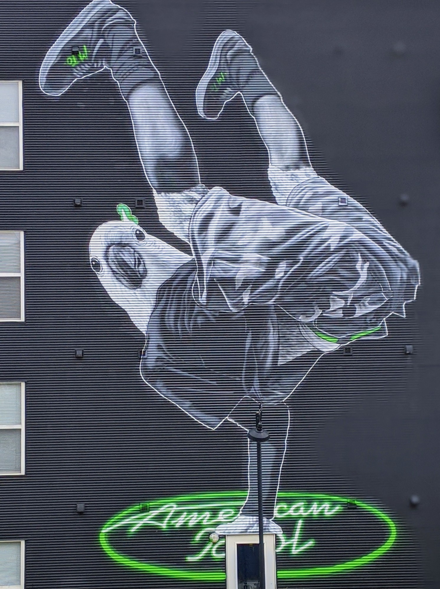 mural in Milwaukee by artist MTO.