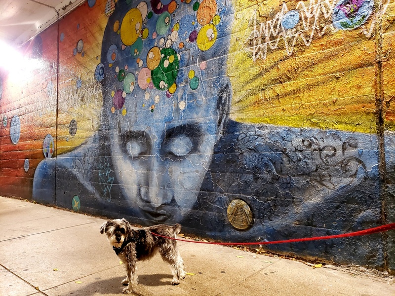 mural in by artist unknown.