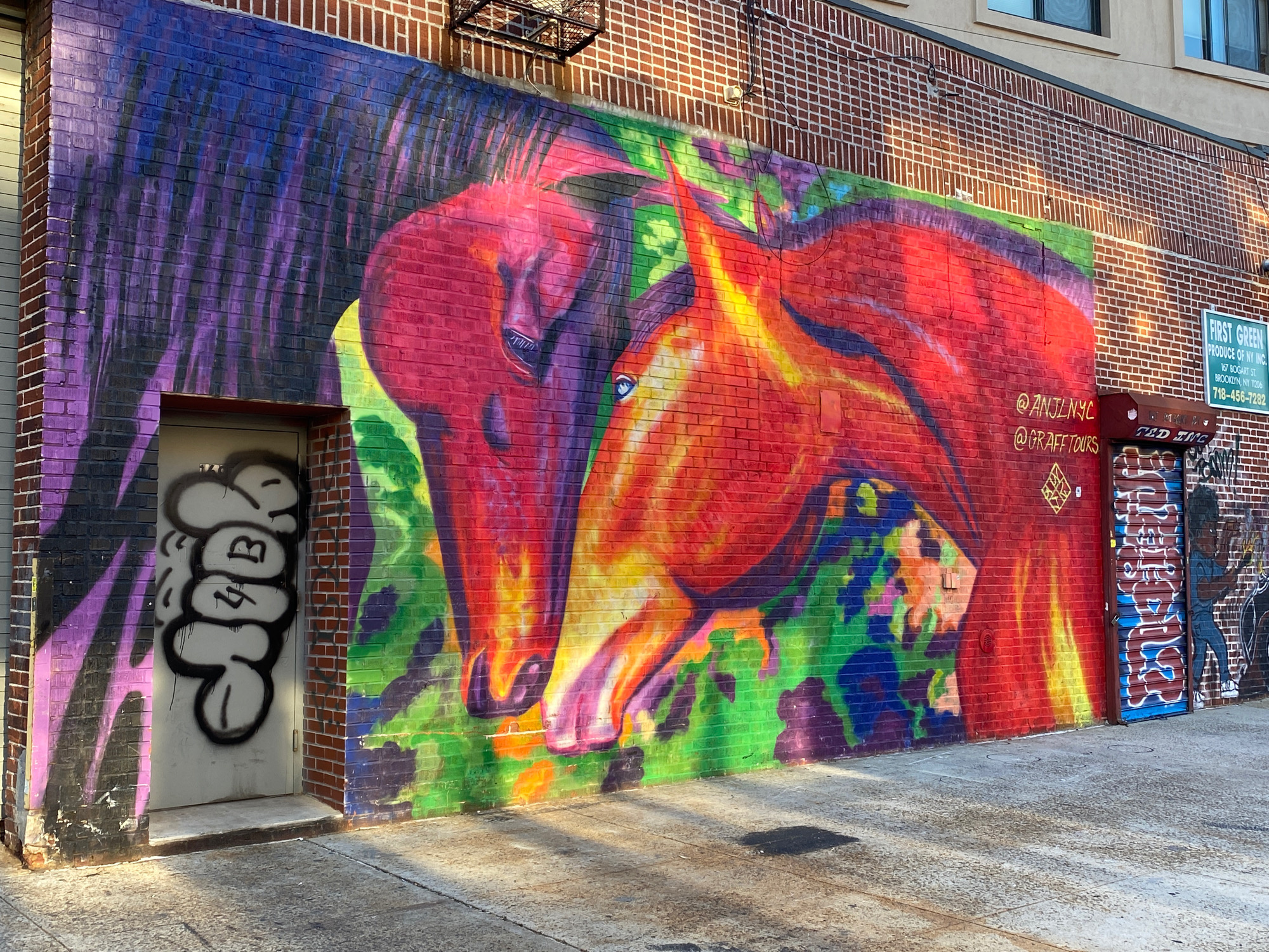 mural in Brooklyn by artist ANJL.