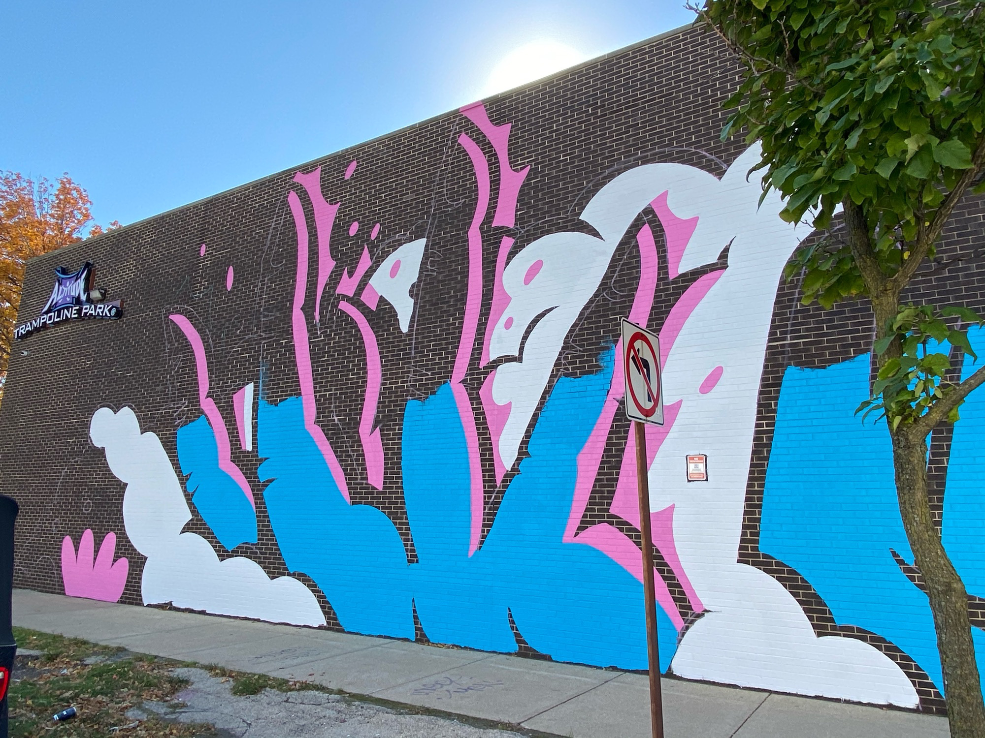 mural in Chicago by artist David Zimmerman.