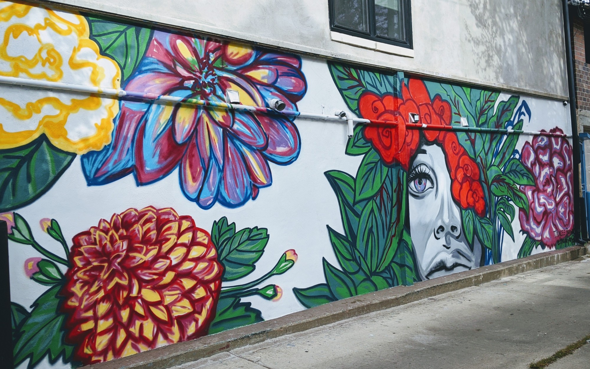 mural in Chicago by artist Tracee Badway.