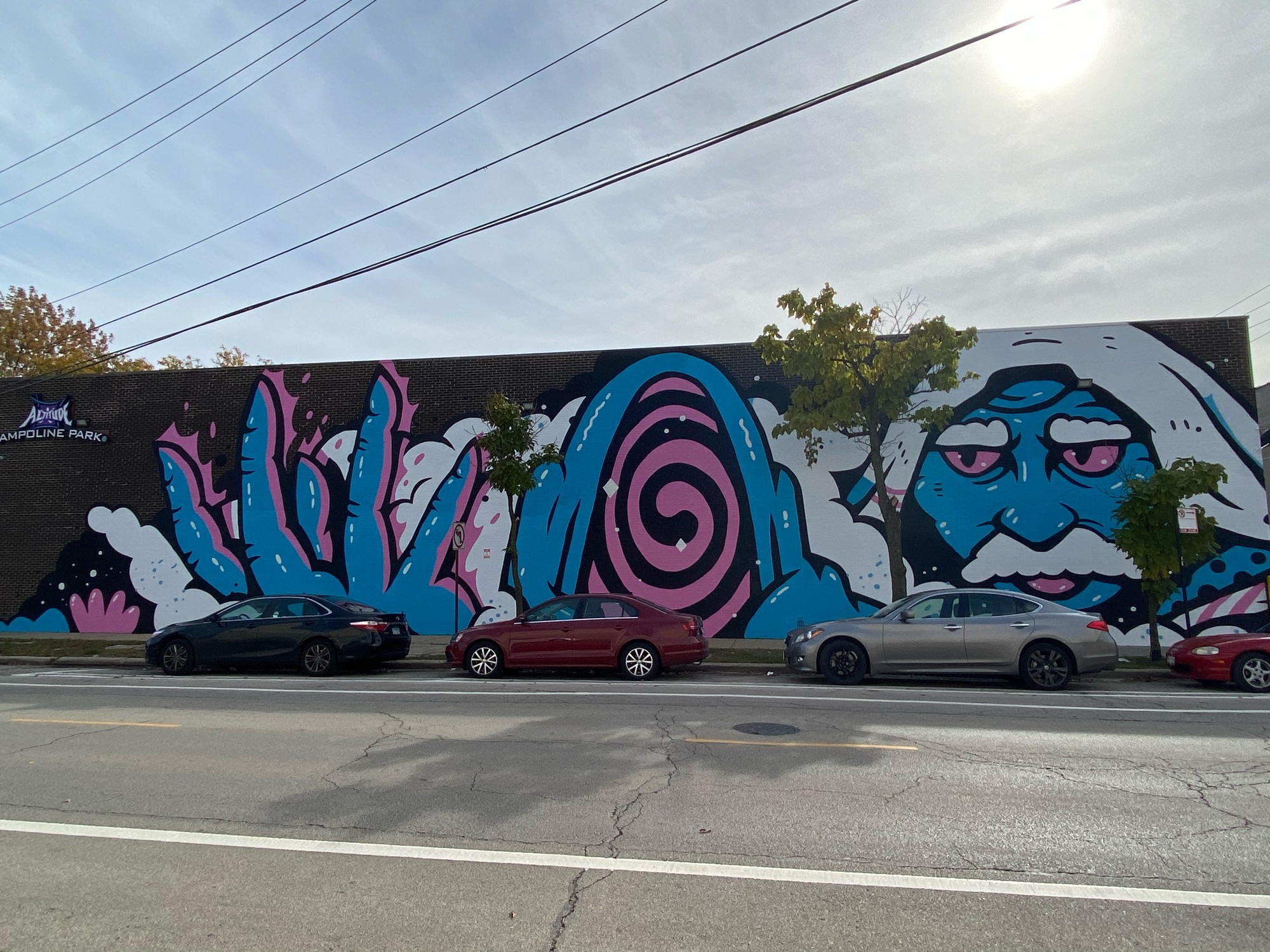 mural in Chicago by artist David Zimmerman.