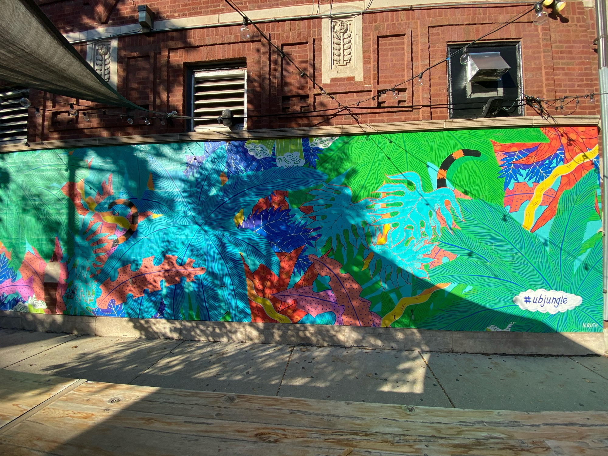 mural in Chicago by artist Noelle Roth.