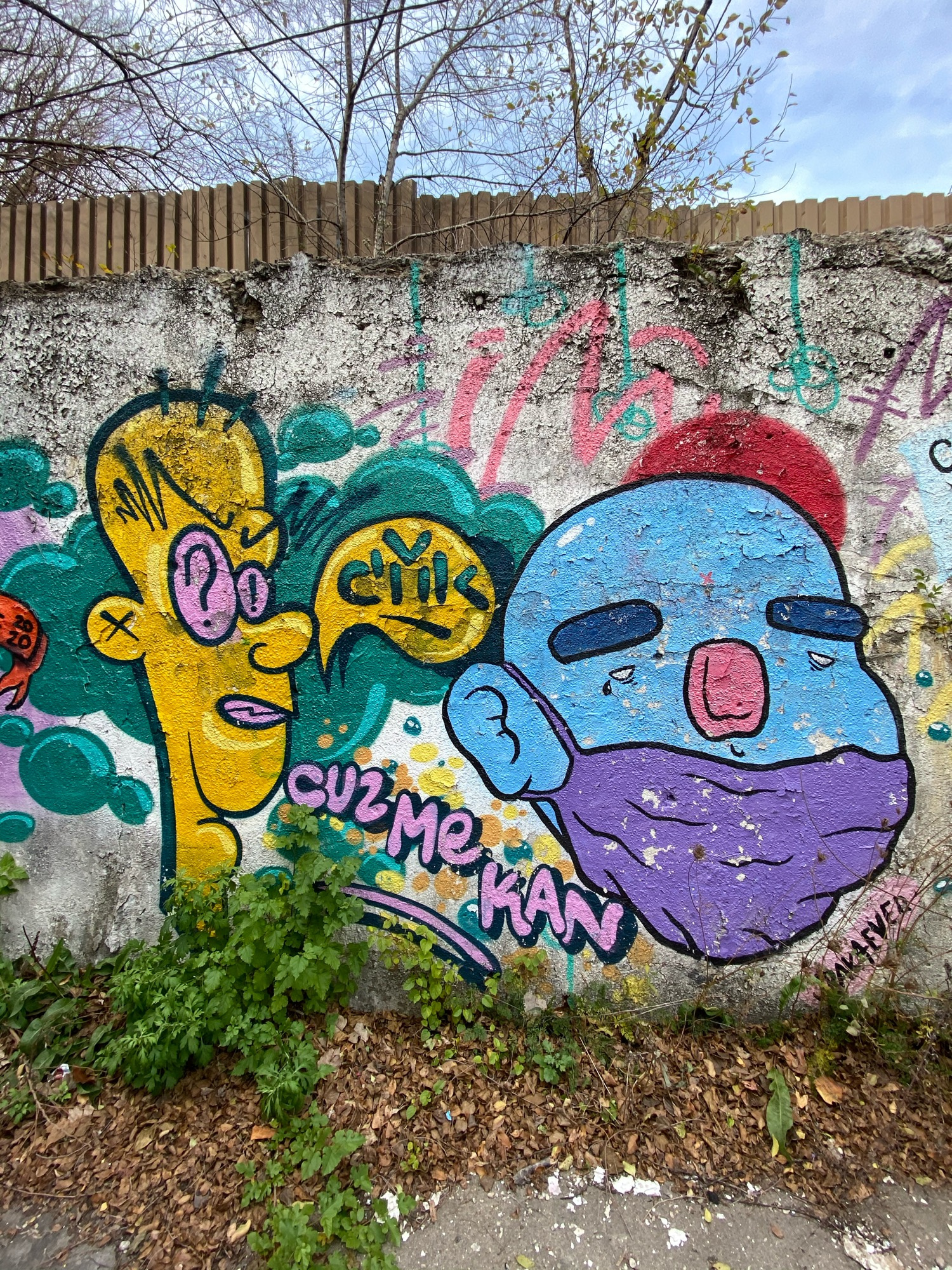 mural in Chicago by artist Jeff Pak.