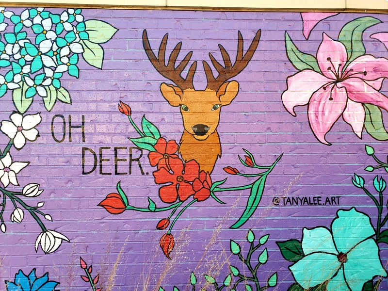 mural in Vernon Hills by artist unknown.