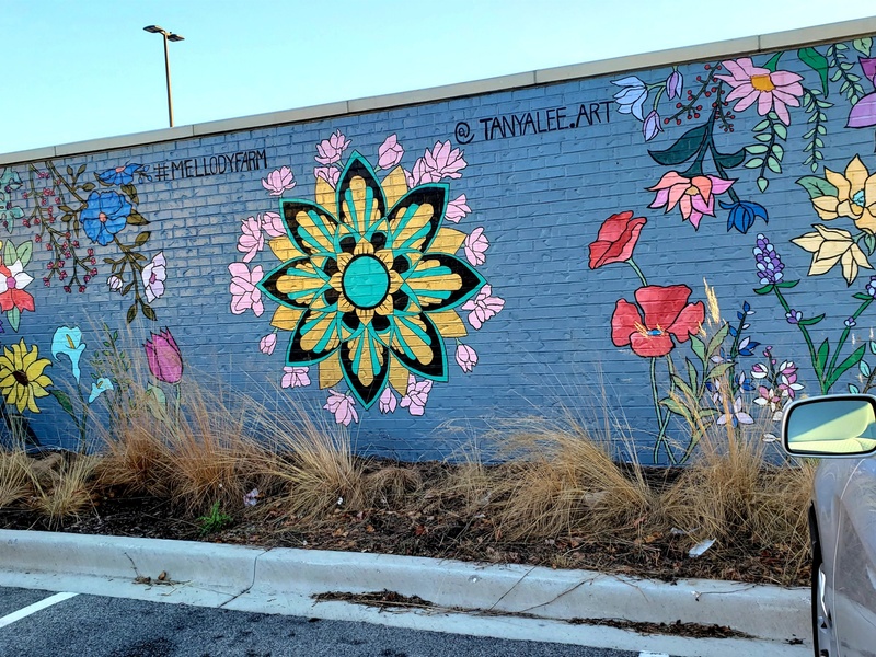 mural in Vernon Hills by artist unknown.