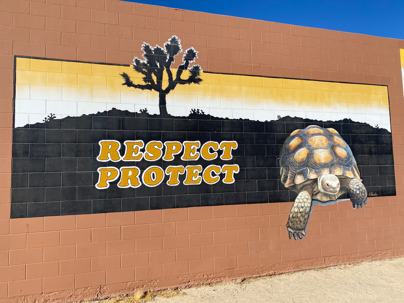 mural in Joshua Tree by artist unknown.
