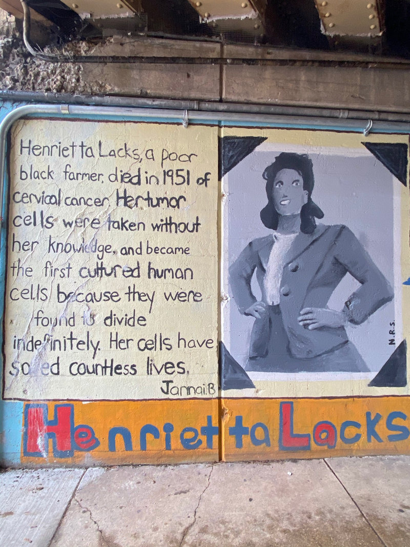 mural in Oak Park by artist unknown.