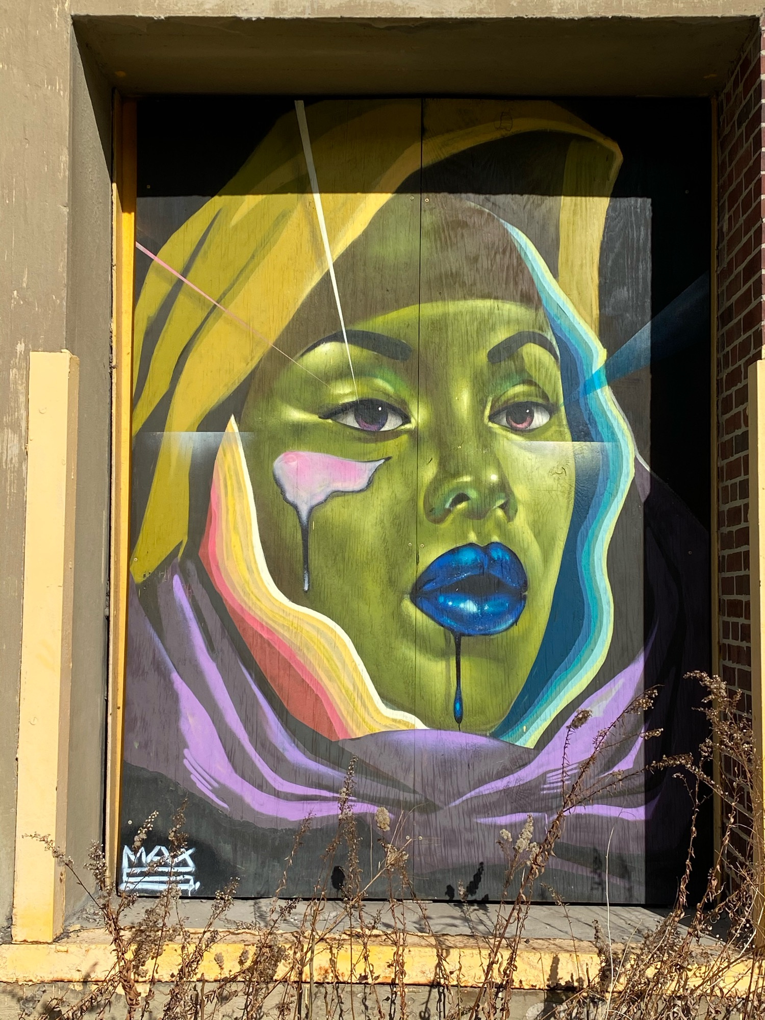 mural in Chicago by artist Max Sansing.