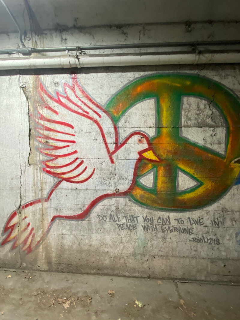 mural in Cicero by artist unknown.