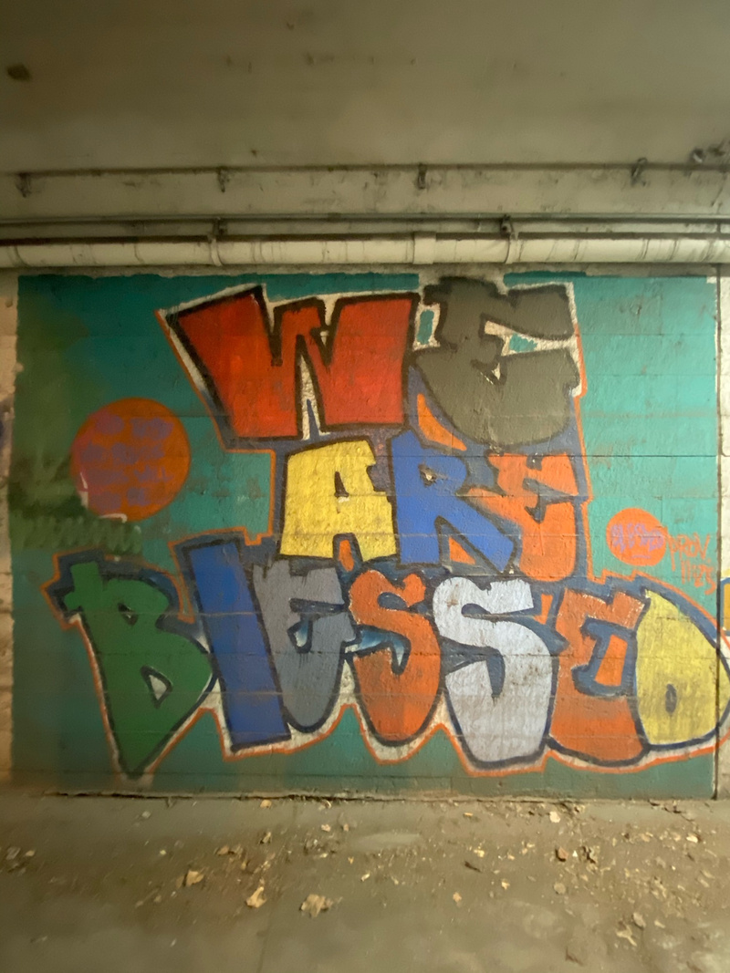 mural in Cicero by artist unknown.