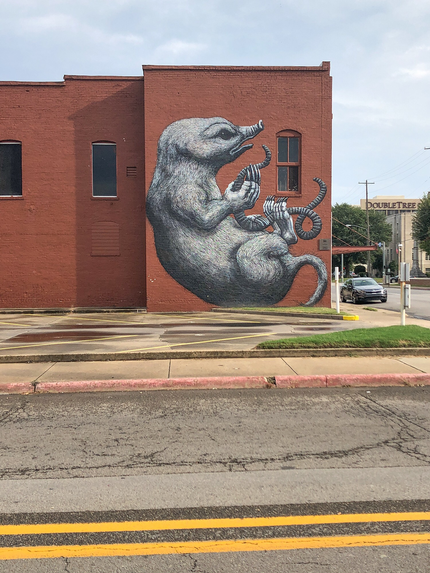 mural in Fort Smith by artist ROA.