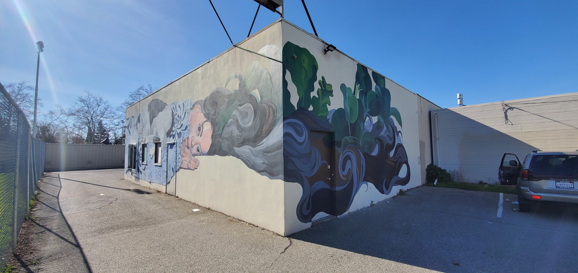 mural in San Jose by artist unknown.