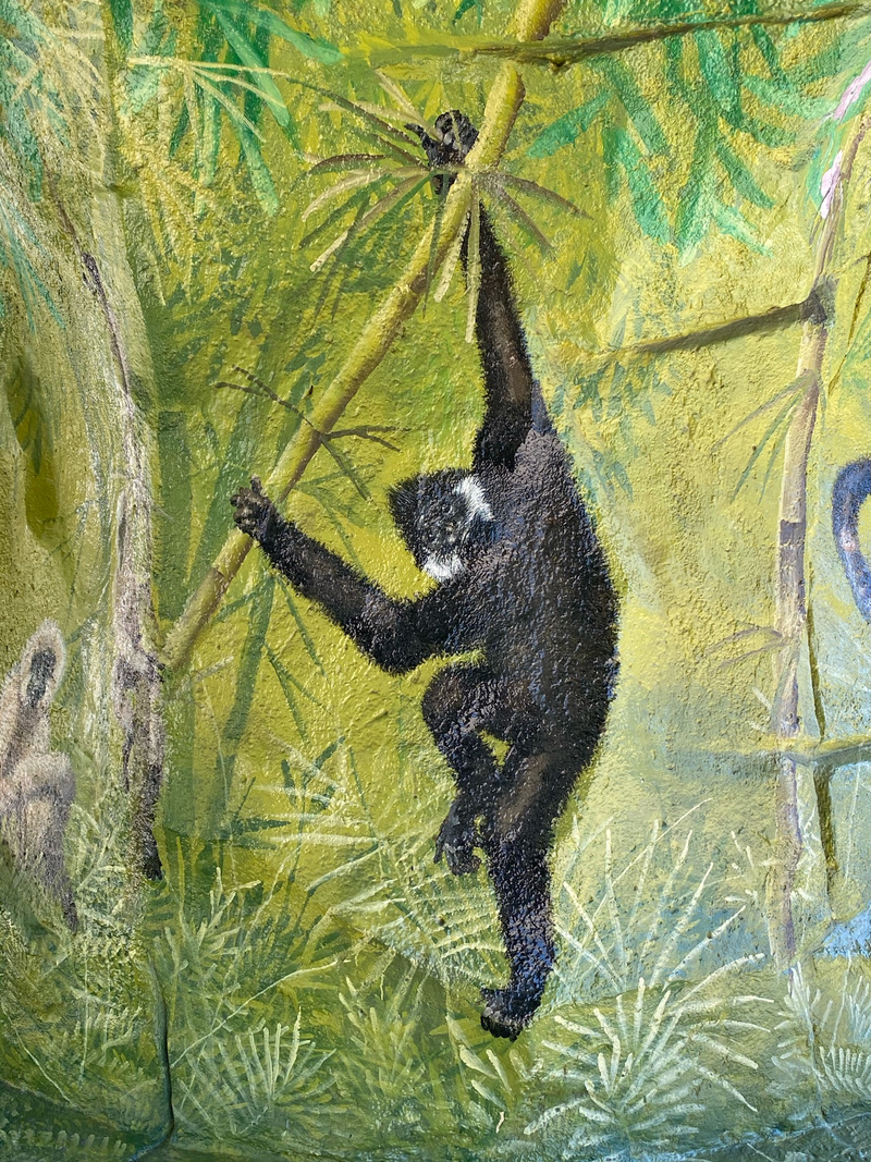 mural in Brookfield by artist unknown.