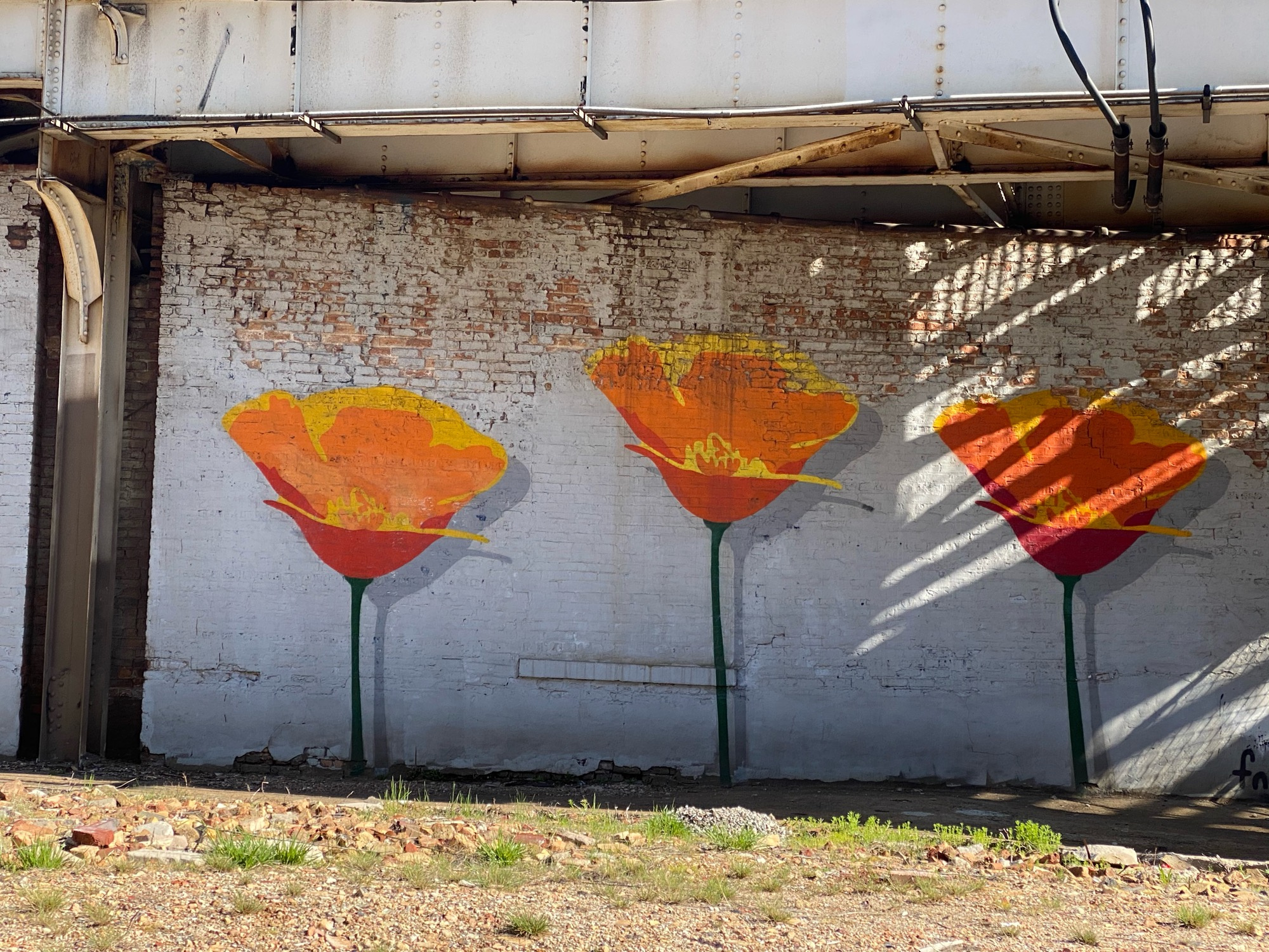 mural in Chicago by artist fnnch. Tagged: flowers, Lakeview East Chamber of Commerce