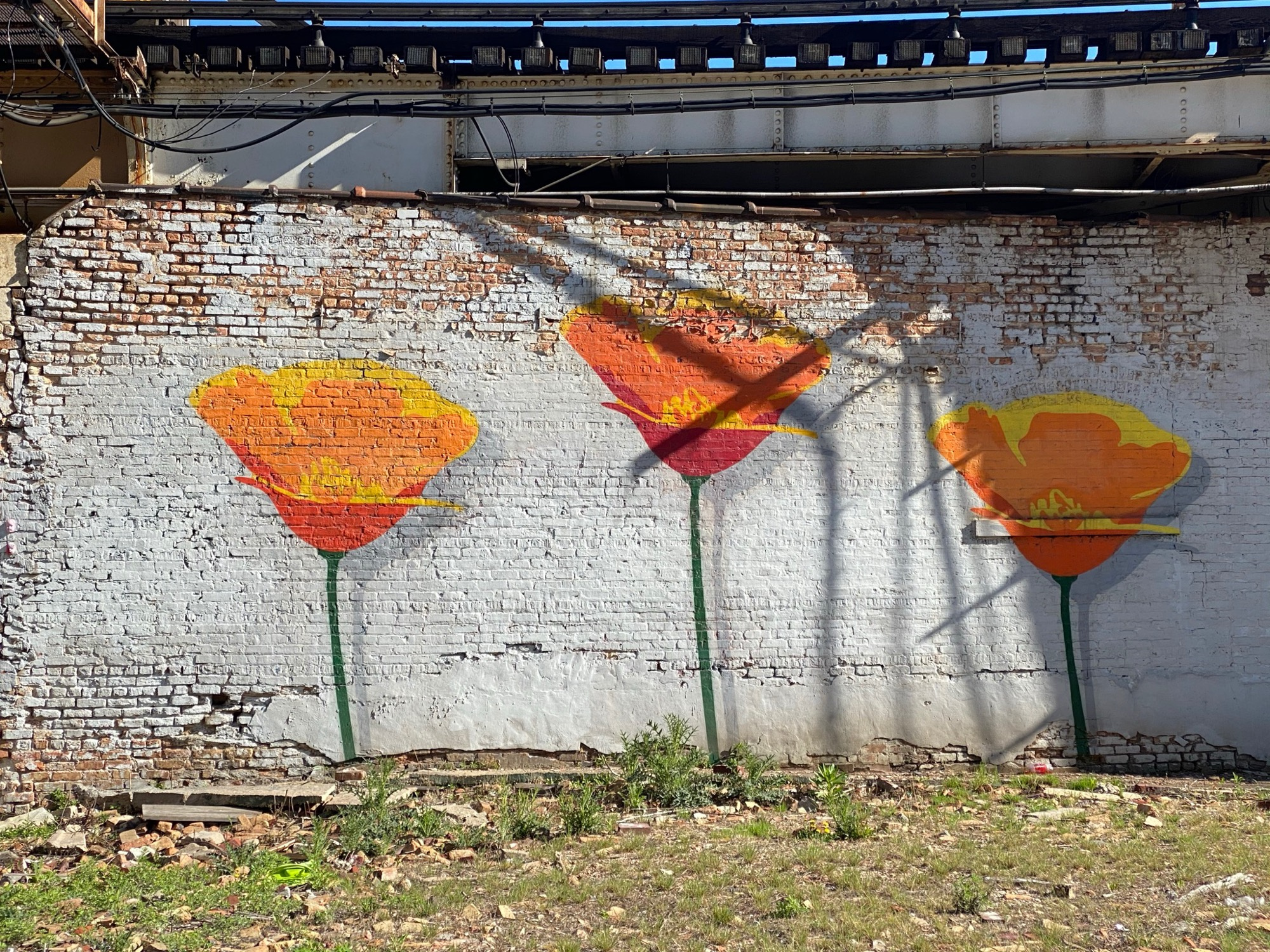 mural in Chicago by artist fnnch. Tagged: flowers, Lakeview East Chamber of Commerce