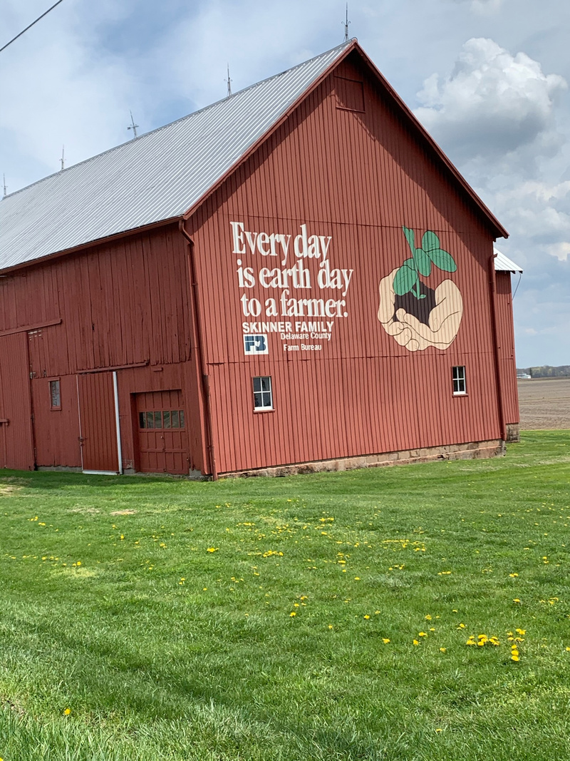 mural in by artist unknown.