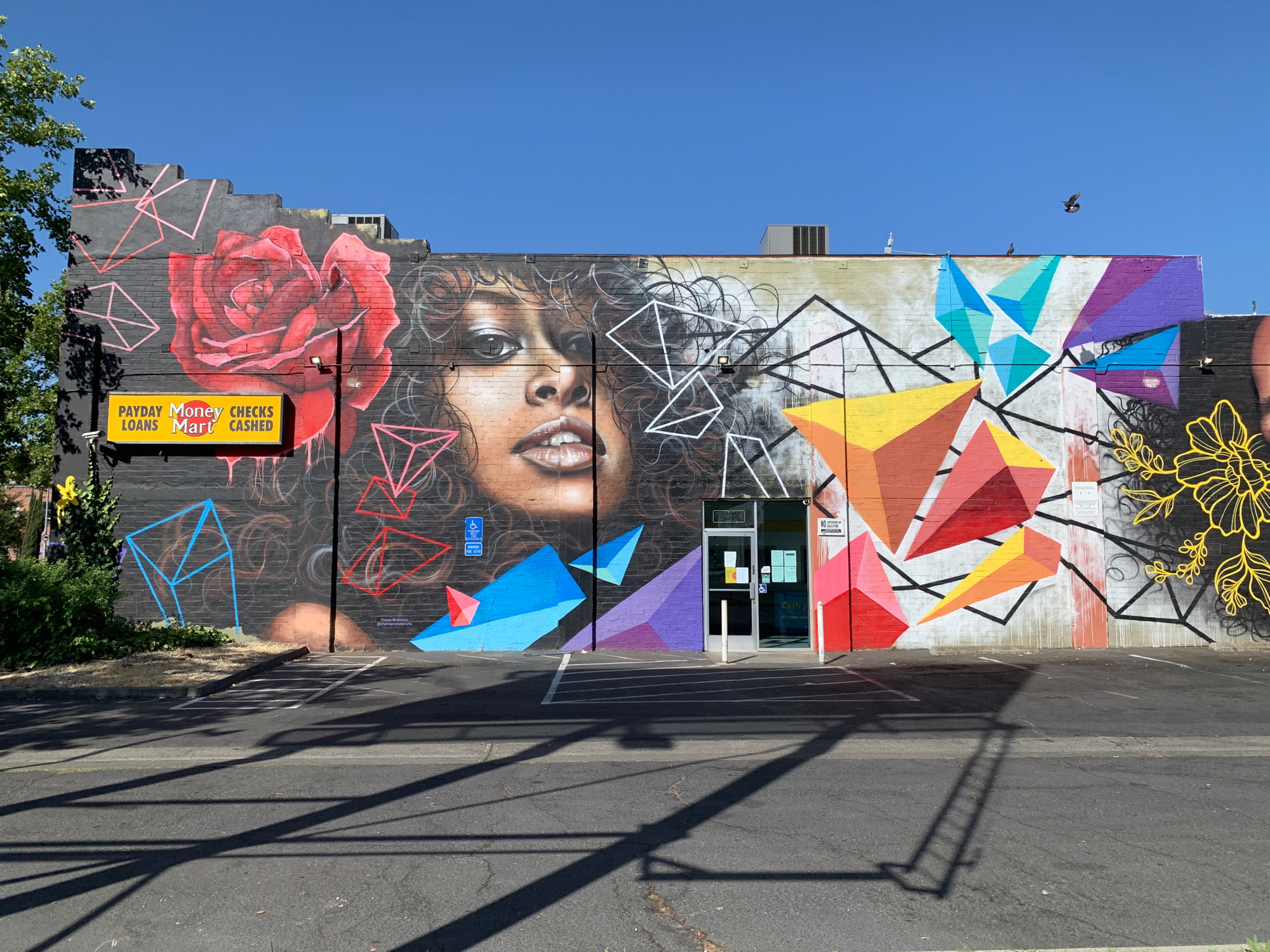 mural in Sacramento by artist Shane Grammer.