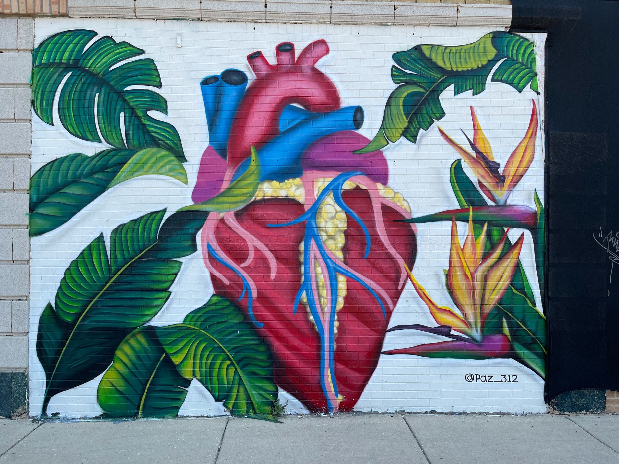 mural in Chicago by artist Christian Paz.