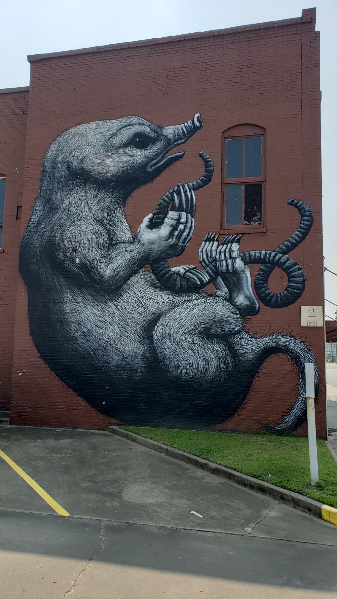 mural in Fort Smith by artist ROA.