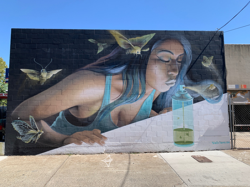 mural in Sacramento by artist unknown.