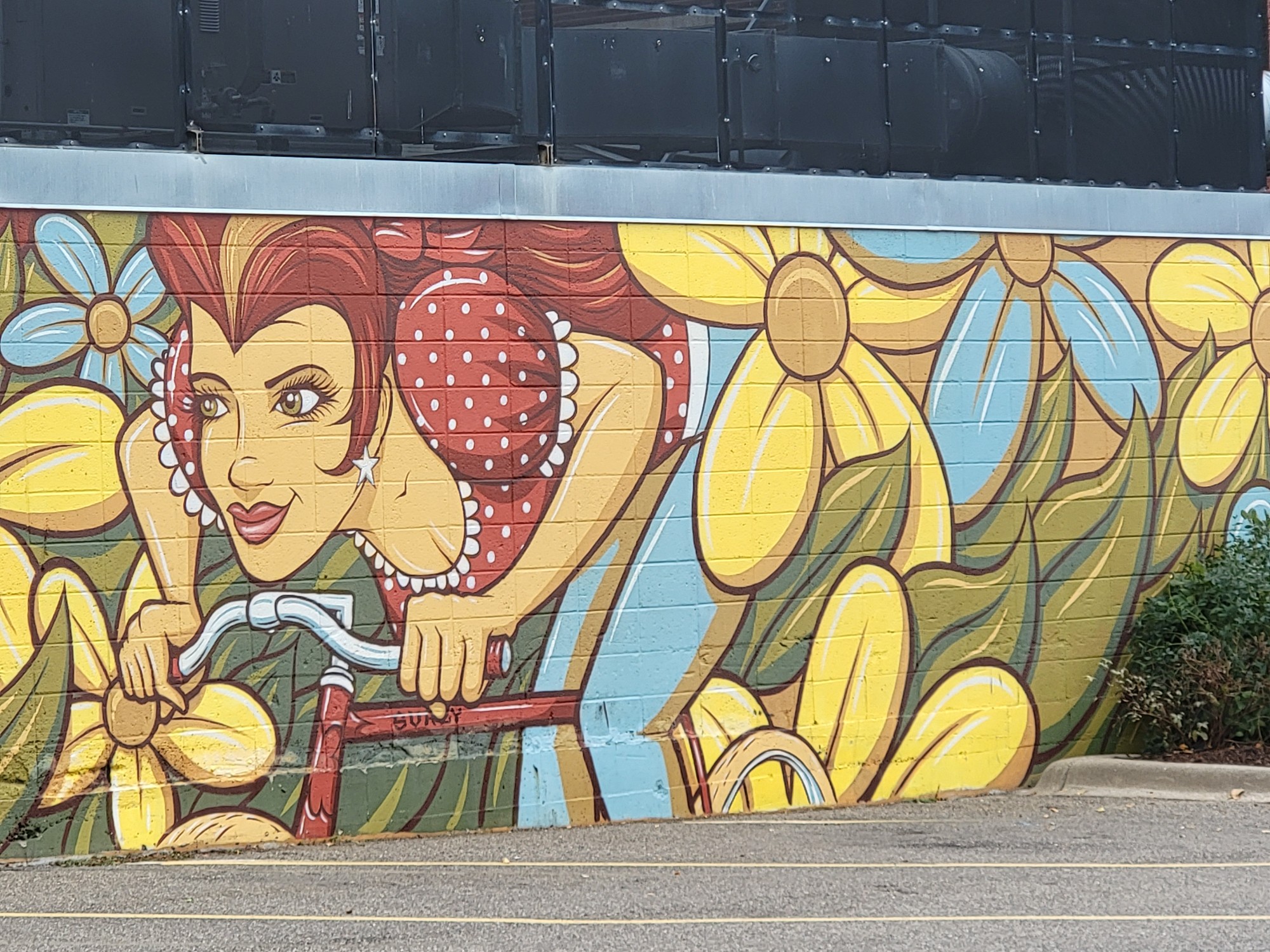 mural in Minneapolis by artist Adam Turman.