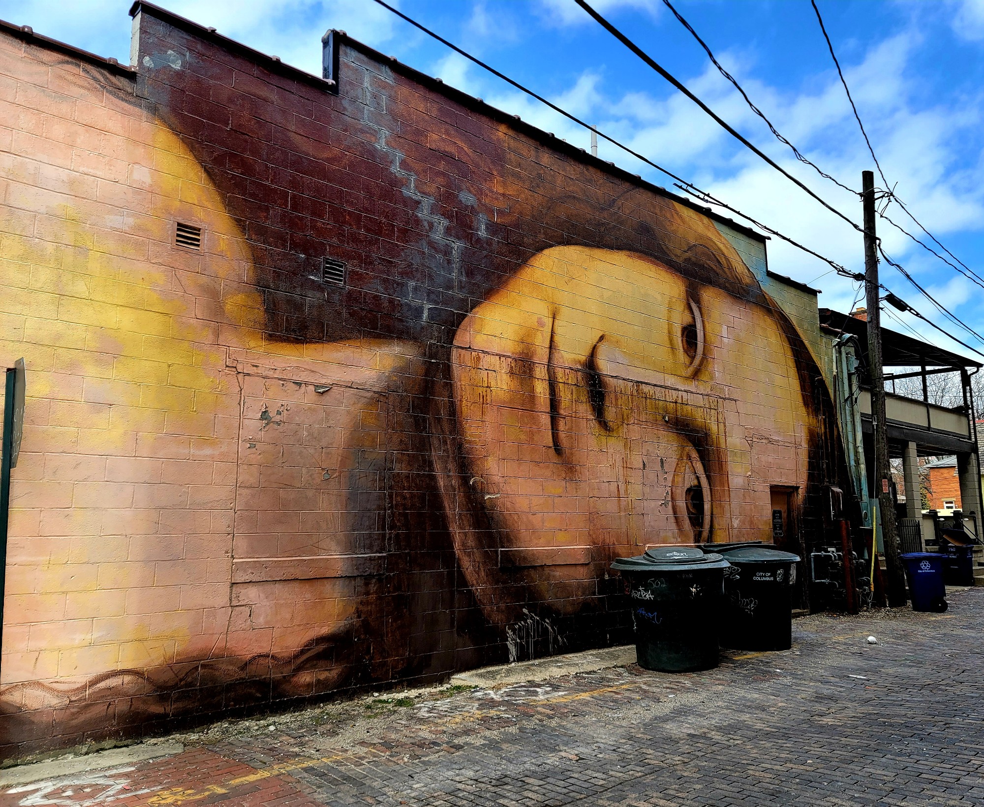 mural in Columbus by artist Brian Clemons. Tagged: Mona Lisa