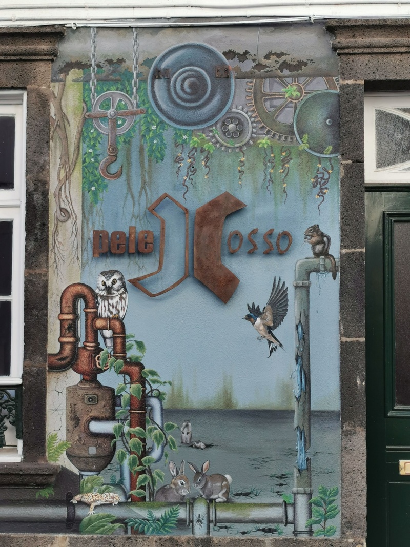 mural in Ponta Delgada by artist unknown.