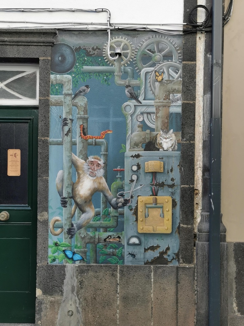 mural in Ponta Delgada by artist unknown.