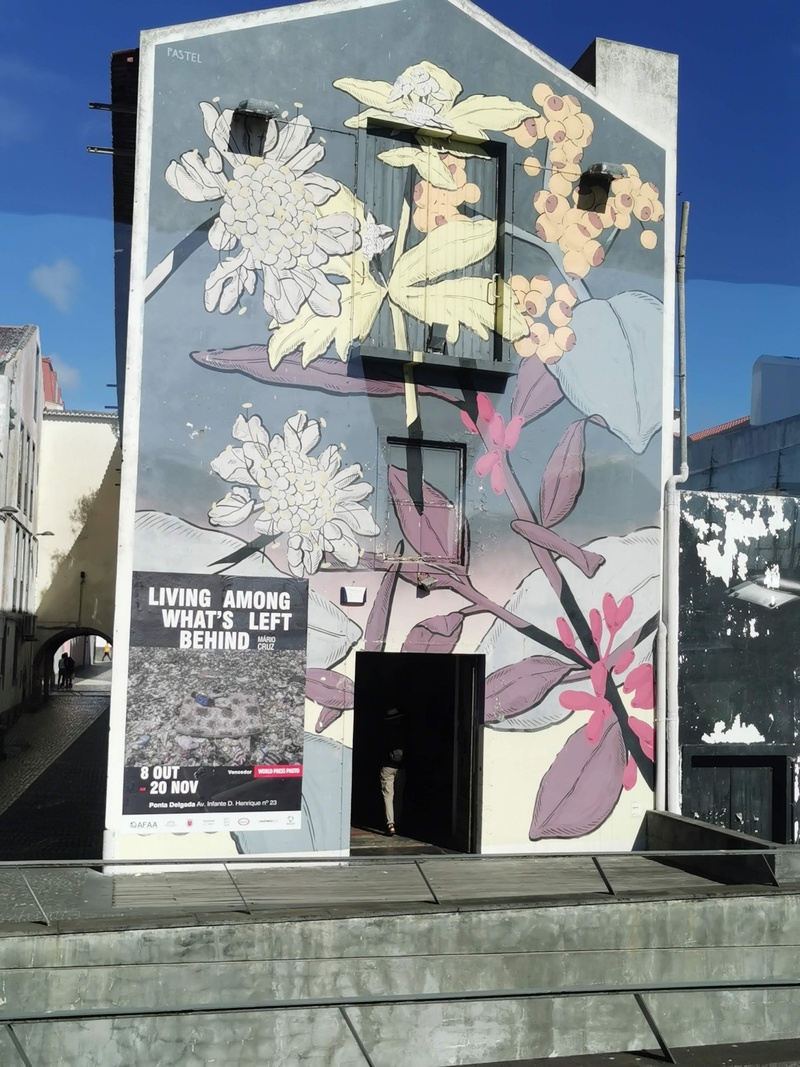 mural in Ponta Delgada by artist unknown.