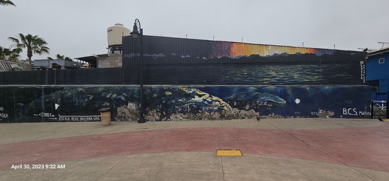 mural in Ensenada by artist unknown.