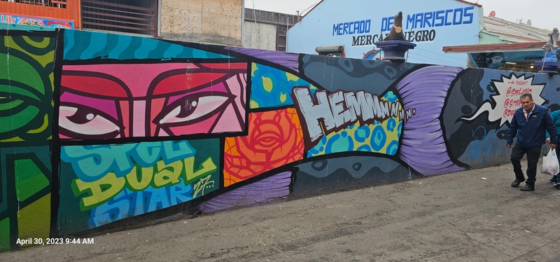 mural in Ensenada by artist unknown.