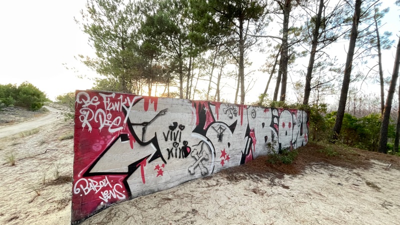 mural in La Teste-de-Buch by artist unknown.