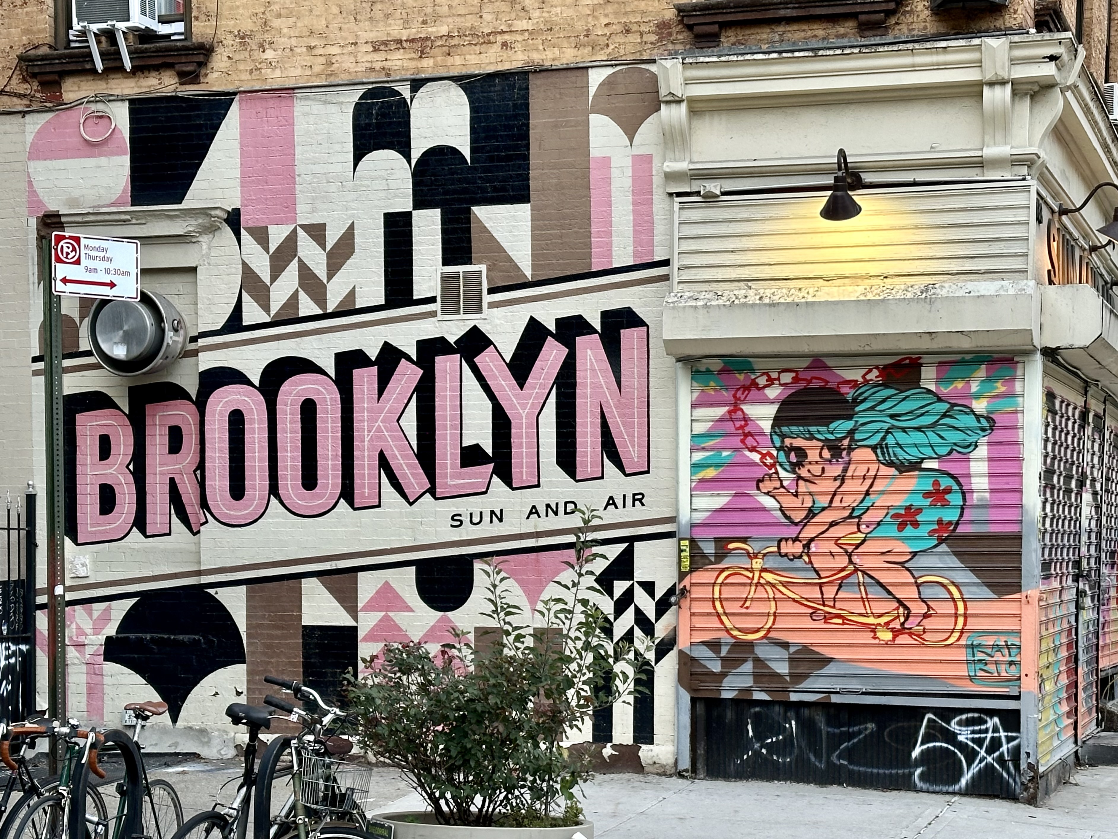 mural in Brooklyn by artist unknown.