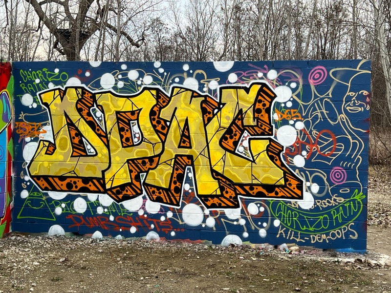 mural in Detroit by artist unknown.